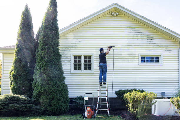 Best Solar Panel Cleaning  in Nowthen, MN